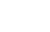 N1C White Logo